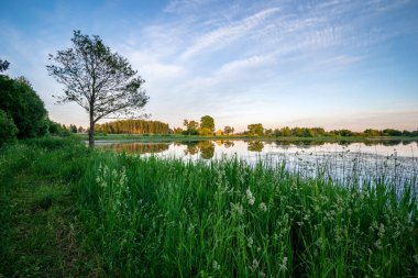 ağaçlar ve ev kıyısında dramatik renkli gökyüzü gün batımında çevrili gölet ile kırsal manzara 