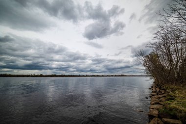 çim ve ağaçların bahar kırsal olay yerinde göl kıyısı gün temizleyin