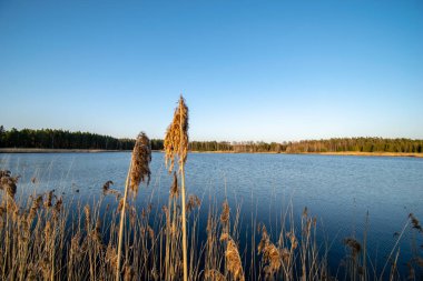 Göl kenarında bents günbatımı içinde. ile soyut resim arka plan bulanıklık