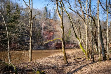 çim ve ağaçların bahar kırsal olay yerinde göl kıyısı gün temizleyin