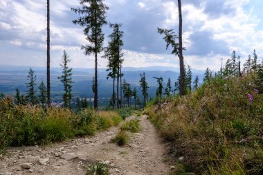 Slovakya'daki tatra Dağları'nda yürüyüş iz. önce biraz bulutlu sonbahar, açık gökyüzü yaz görünümünde mounatin