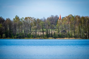 çim ve ağaçların bahar kırsal olay yerinde göl kıyısı gün temizleyin