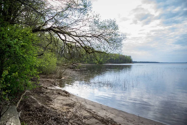 Orilla Del Lago Con Hierba Árboles Escena Del Campo Primavera — Foto de Stock