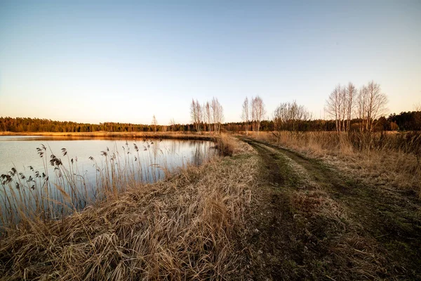 Sjöstranden Med Gräs Och Träd Våren Landsbygden Scen Rensa Dag — Stockfoto