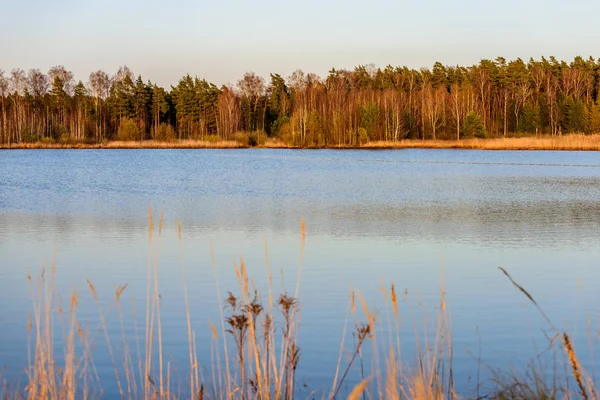 Bents Solnedgången Vid Sjön Abstrakt Bild Med Oskärpa Bakgrund — Stockfoto