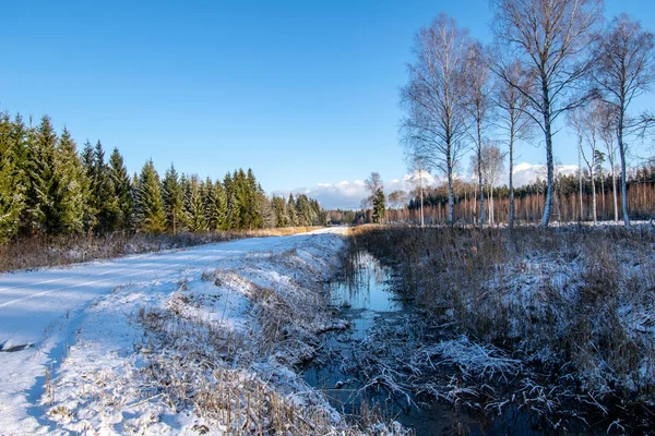 얼음된 나무와 — 스톡 사진