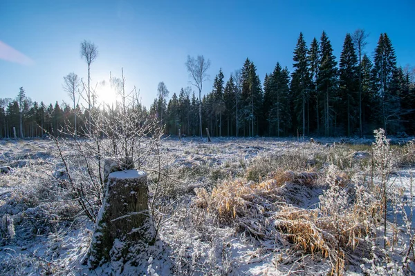 Winter Van Besneeuwde Landschap Scène Met Sneeuw Bevroren Bomen Bewolkte — Stockfoto