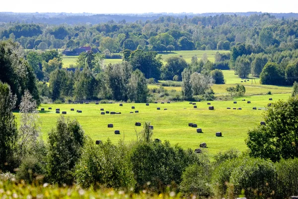 Heuballen Liegen Einem Weit Entfernten Feld Der Landschaft Auf Dem — Stockfoto