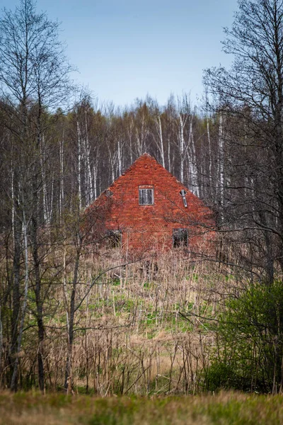 Kusliga Gamla Övergivna Huset Från Rött Tegel Vårskog — Stockfoto