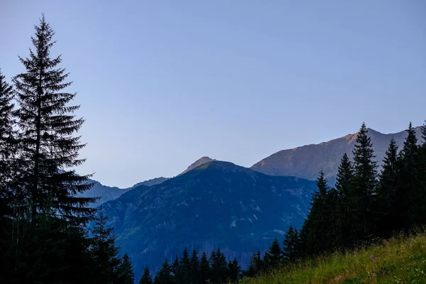 Ranní Světlo Nad Vrcholky Hor Lesů Horách Tatra Slovensku První — Stock fotografie