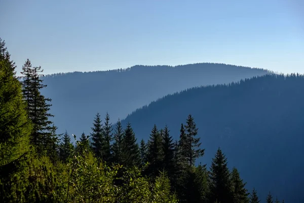 Ranní Světlo Nad Vrcholky Hor Lesů Horách Tatra Slovensku První — Stock fotografie