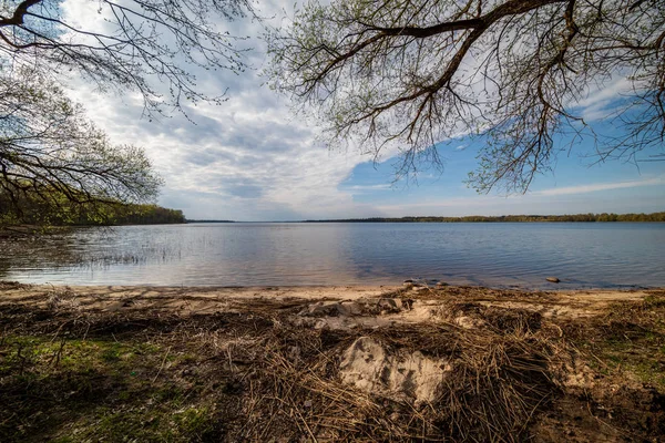 Берег Озера Травою Деревами Весняній Сільській Місцевості Сцена Ясний День — стокове фото