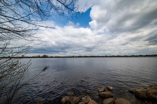 Margem Lago Com Árvores Primavera Cena Rural Dia Claro — Fotografia de Stock