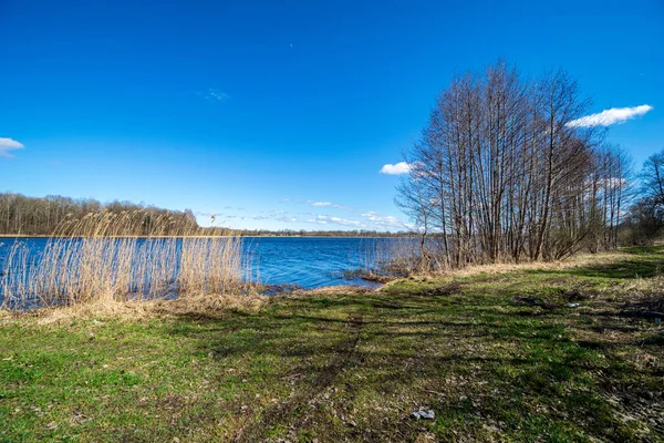 Margem Lago Com Grama Árvores Cena Campestre Primavera Dia Claro — Fotografia de Stock