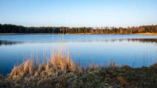 lake shore with grass and trees in spring countryside scene at clear day