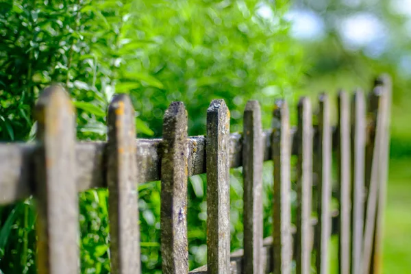 Valla Madera Antigua Jardín Campo Con Luz Mañana Follaje Verde — Foto de Stock