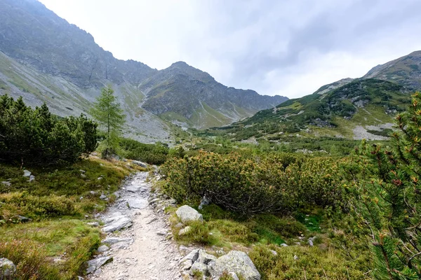 Turistická Trasa Tatrách Slovensku Mountain View Pozdním Létě Před Podzimní — Stock fotografie