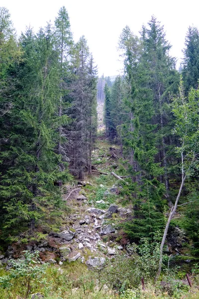 Turistická Trasa Tatrách Slovensku Mountain View Pozdním Létě Před Podzimní — Stock fotografie