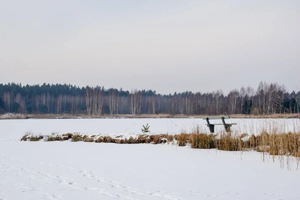 Snörik Vinter Landsbygden Scen Med Snö Och Frusna Träd Och — Stockfoto