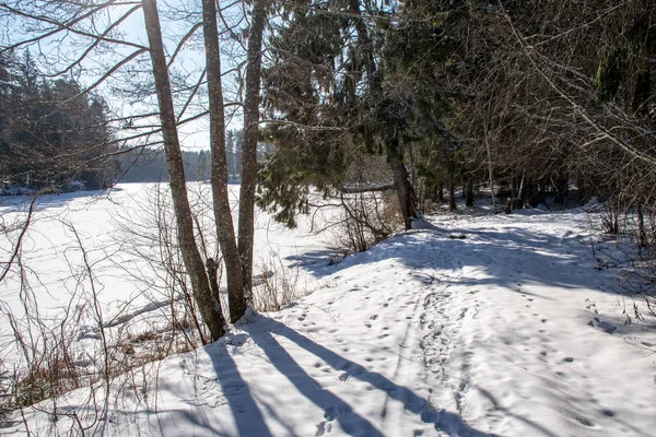 雪と凍結の木曇り空と雪に覆われた冬の田舎シーン — ストック写真