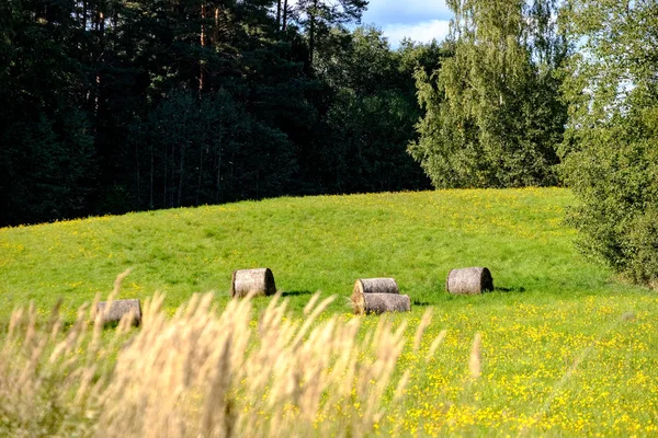 Rollos Heno Tendido Campo Lejano Campo Hierba Verde Prado Con — Foto de Stock