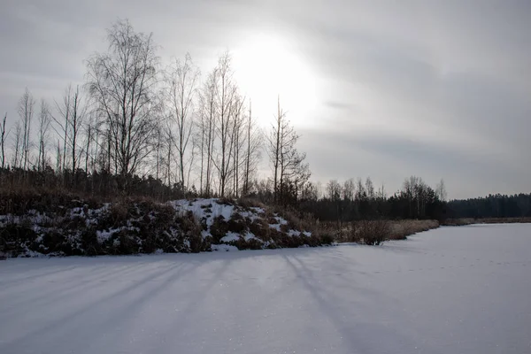 Verschneite Winterlandschaft Mit Schnee Und Gefrorenen Bäumen Und Bewölktem Himmel — Stockfoto