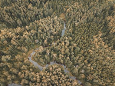 alanları ve ormanları gündüz, kırsal alanın havadan görünümü