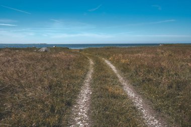 Yaz aylarında köy çakıl yol olarak kırsal orman ağaçları ile 