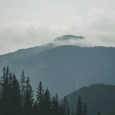 Batı Karpat sis dağ başında içinde sonbaharda kaplı 