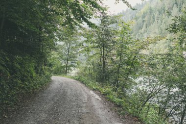 Yaz aylarında köy çakıl yol olarak kırsal orman ağaçları ile 