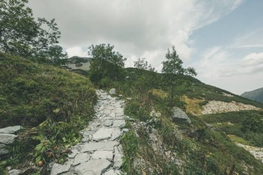 Slovakya'daki Tatra Dağları'nda yürüyüş iz