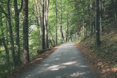 Yaz aylarında köy çakıl yol olarak kırsal orman ağaçları ile 
