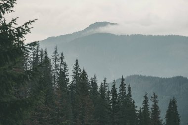 Batı Karpat sis dağ başında içinde sonbaharda kaplı 