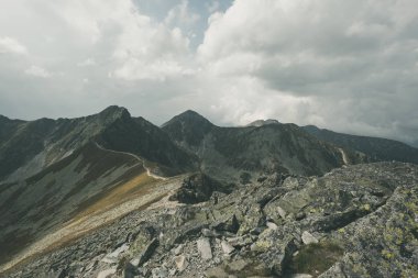 Slovakya'daki Tatra Dağları'nda yürüyüş iz
