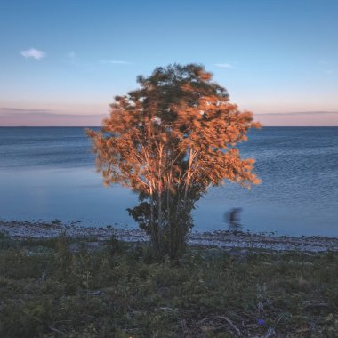 kayalık Plajı ile Baltık Denizi üzerinde dramatik gündoğumu 