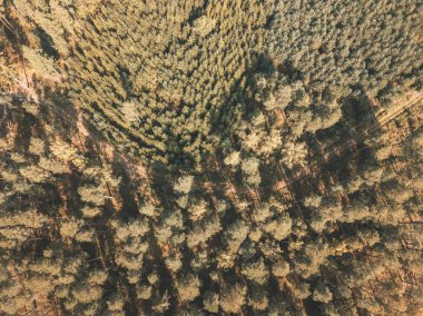 alanları ve ormanları gündüz, kırsal alanın havadan görünümü