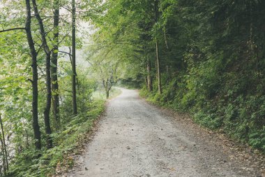 Yaz aylarında köy çakıl yol olarak kırsal orman ağaçları ile 