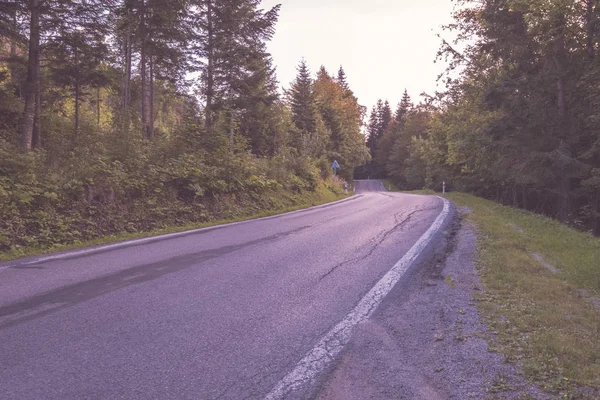 Asphalted Road Leading Mountains Forest — Stock Photo, Image