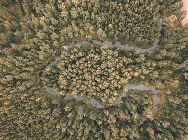 農村地域でのフィールド 昼間の森の空撮 — ストック写真