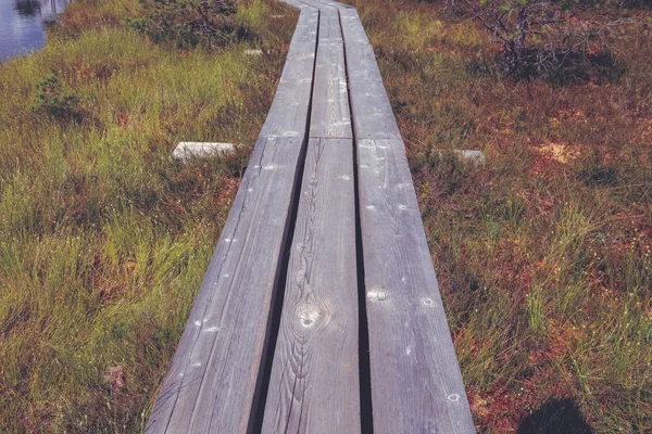 Wooden Footpath Swamp Cloudy Blue Sky Background — Stock Photo, Image