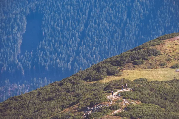 Vandringsled Toppen Berget Vid Tatrabergen Slovakien — Stockfoto