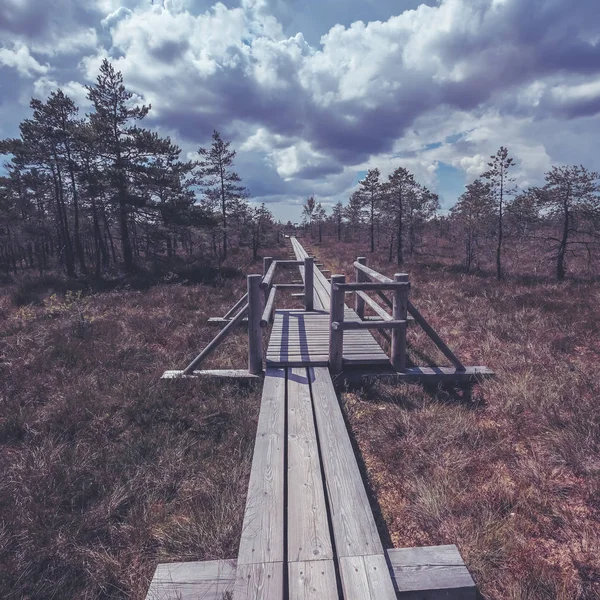 Sentiero Legno Palude Con Cielo Azzurro Nuvoloso Sullo Sfondo — Foto Stock