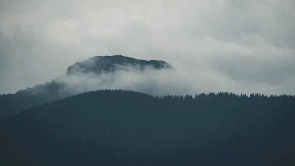 Покриті Восени Туман Гірських Вершин Західні Карпати — стокове фото