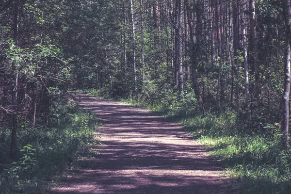 País Sencillo Camino Grava Verano Bosque Rural Con Árboles —  Fotos de Stock