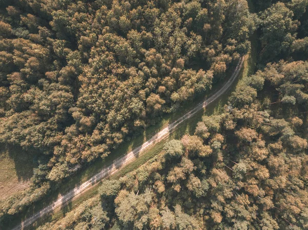 Aerial View Rural Gravel Road Green Forest Trees Shadows Daytime — Stock Photo, Image
