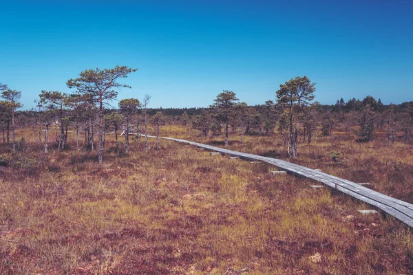 曇り青空背景で沢の木製の小道 — ストック写真