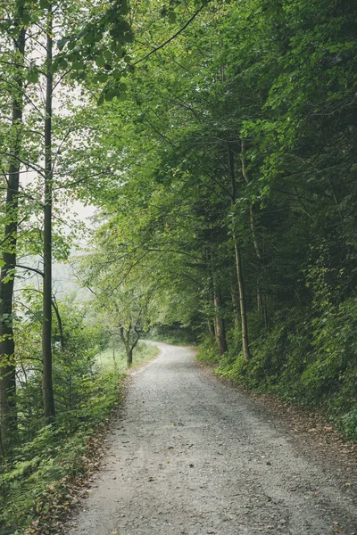 Simple Country Gravel Road Summer Countryside Forest Trees — Stock Photo, Image