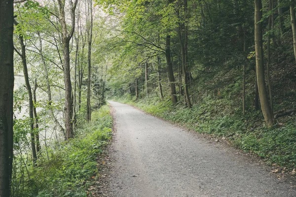 乡村森林与树木的夏季简单的乡村砾石路 — 图库照片