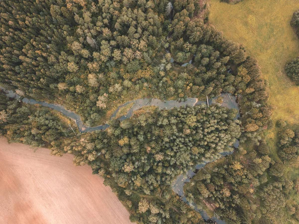 Aerial View Rural Area Fields Forests Daytime — Stock Photo, Image