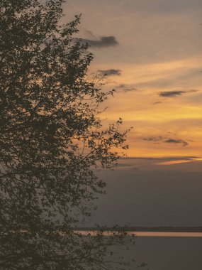 ağaç siluetleri ve kızıl gökyüzü arka plan ile renkli günbatımı